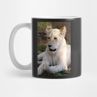 Adolescent Male White Lion Mug